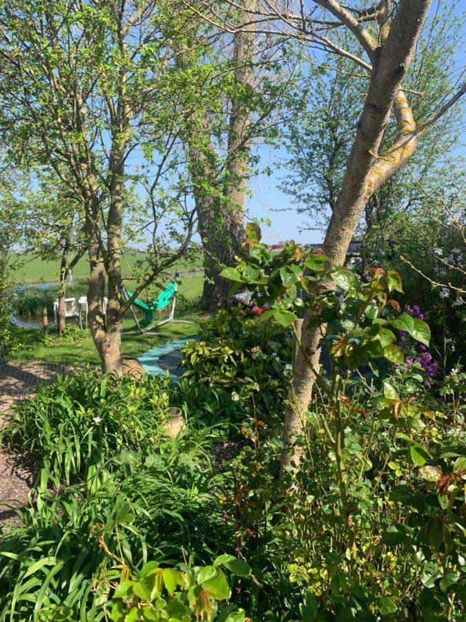 Very Nice Cottage In Durgerdam, With Private Garden, Free Parking, Pets Allowed Amsterdam Bagian luar foto